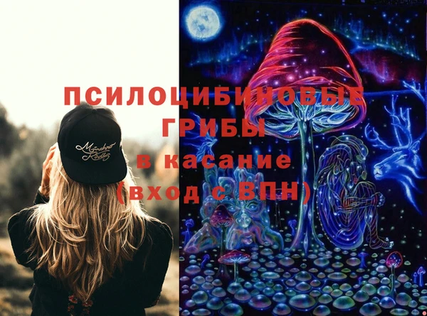 apvp Алзамай